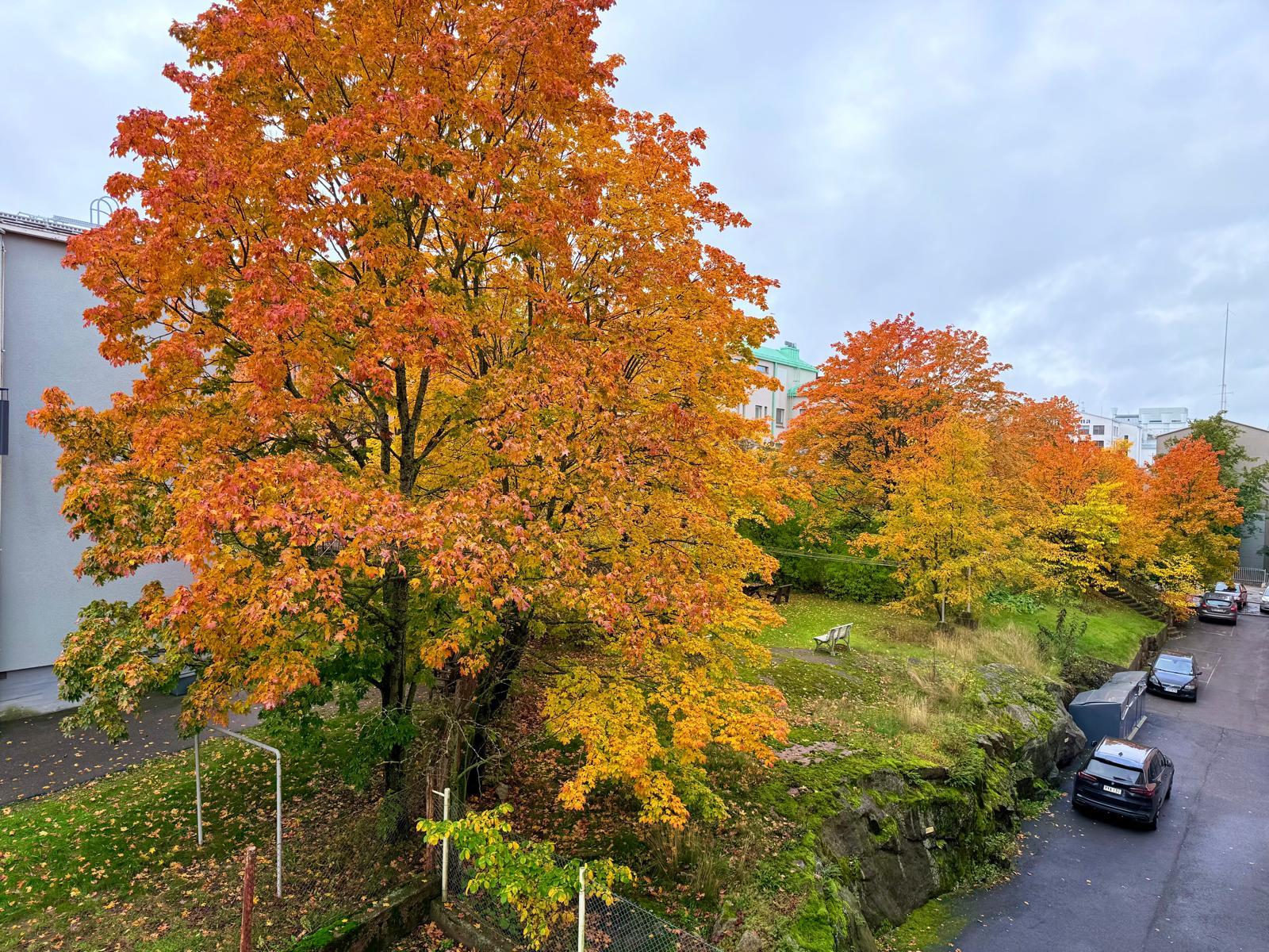Mäkelänkatu 38, Vallila, Helsinki