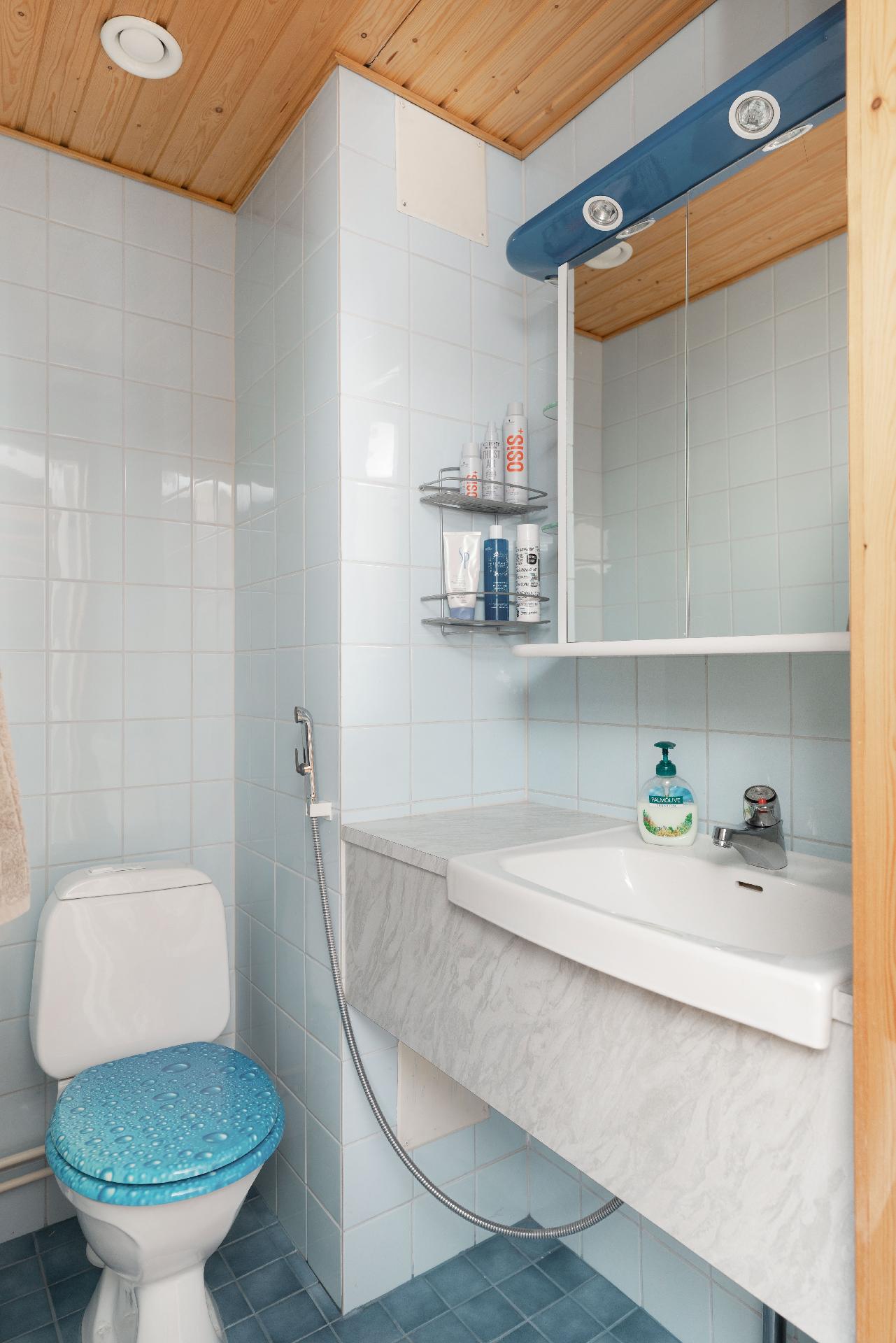 Alakerran erillinen wc