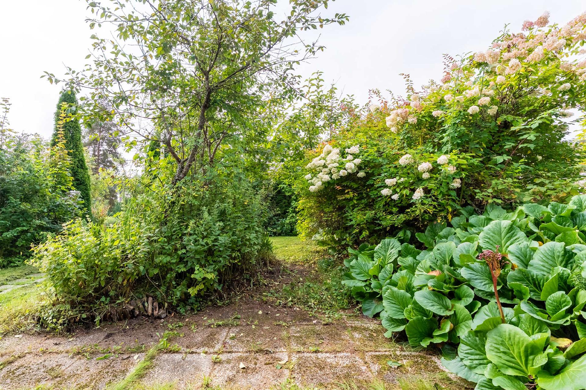 Vuorenahteentie 9, Vuorentausta, Ylöjärvi