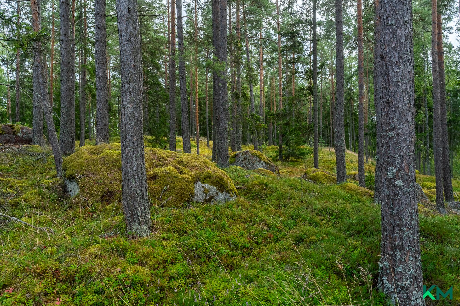 Onas 9, Onas, Porvoo