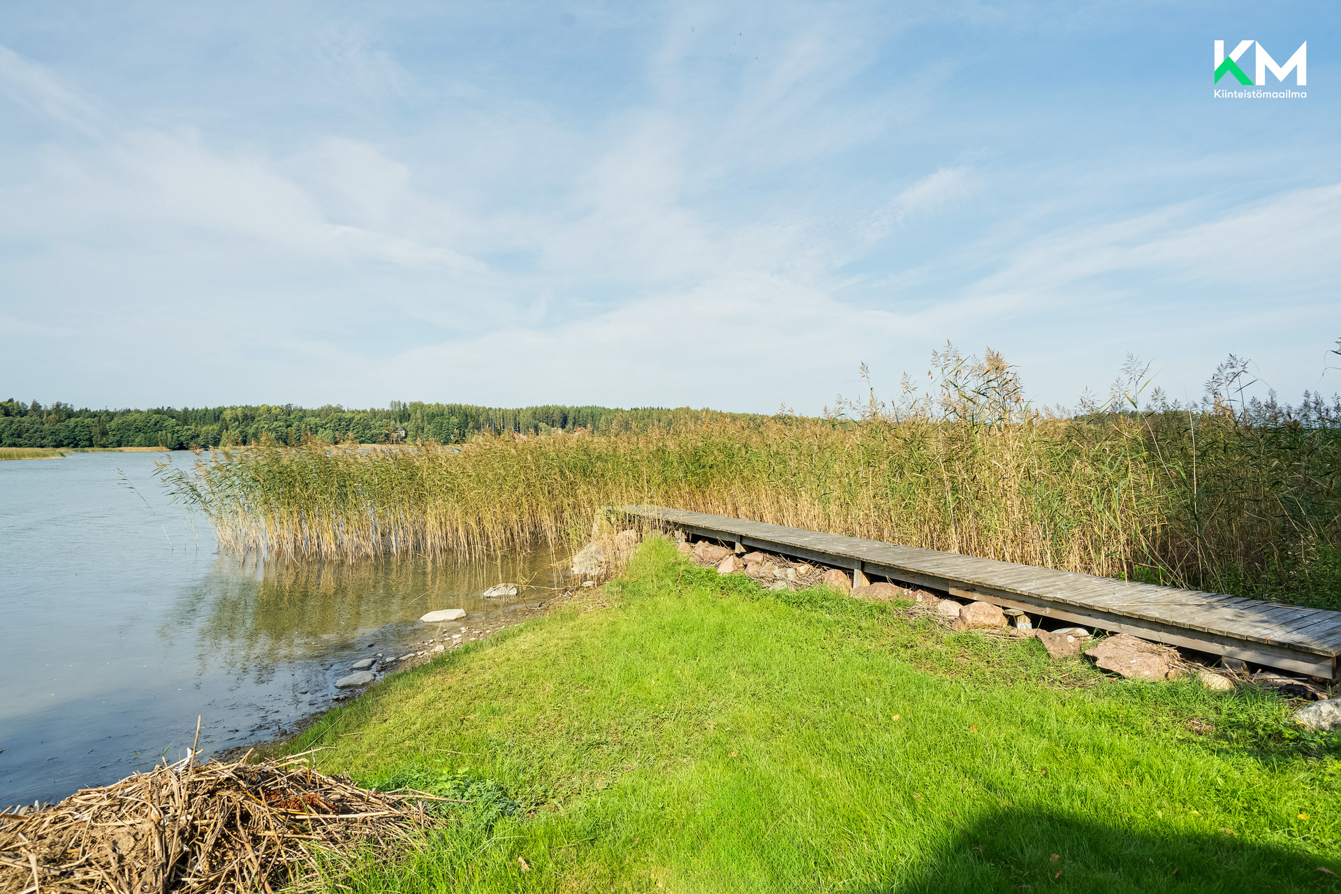 Laituri