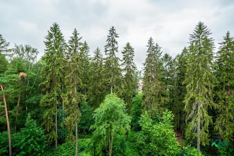 Pihlajatie 40, Meilahti, Helsinki