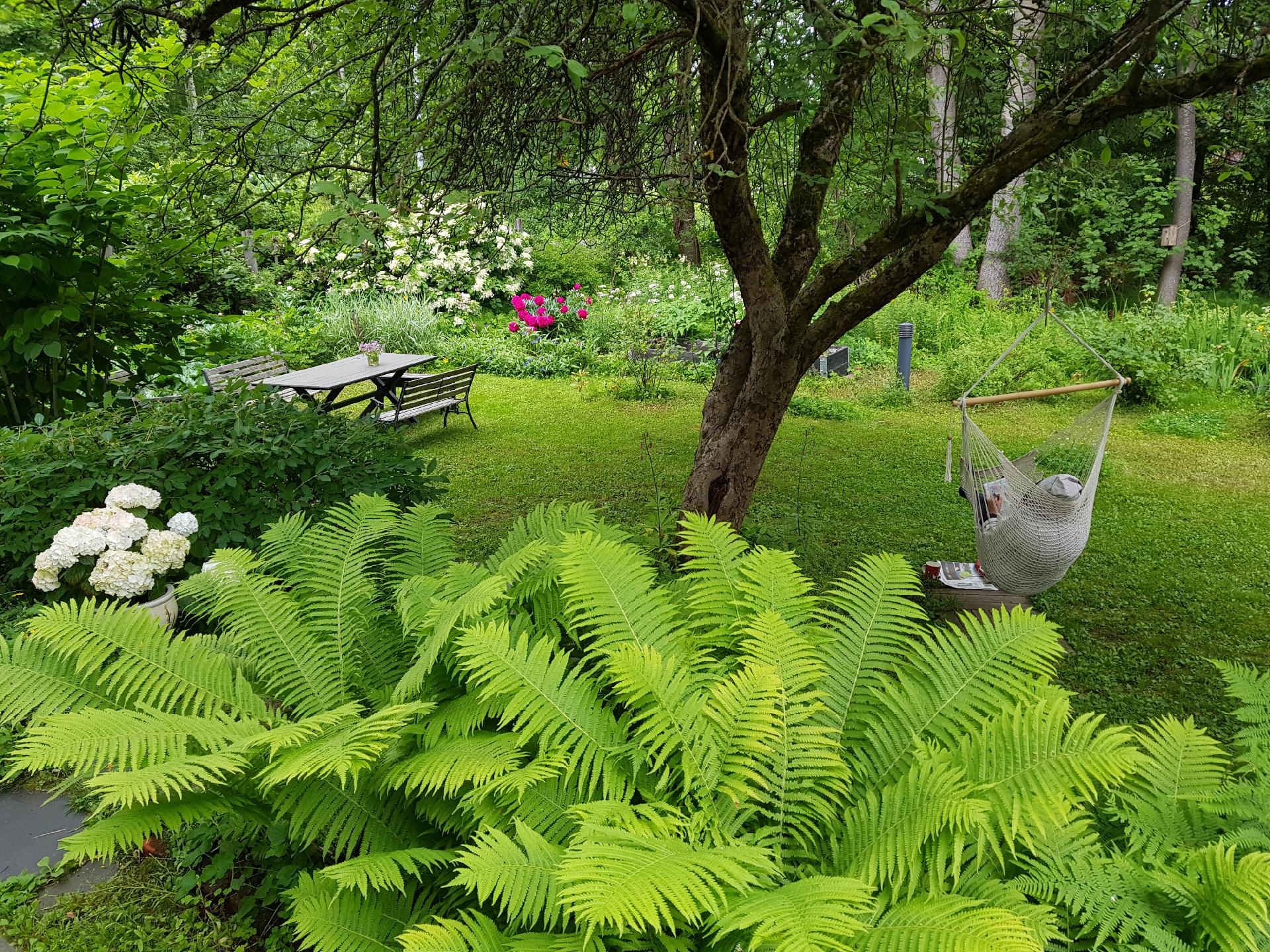 Käpyläntie 39, Koskela, Helsinki