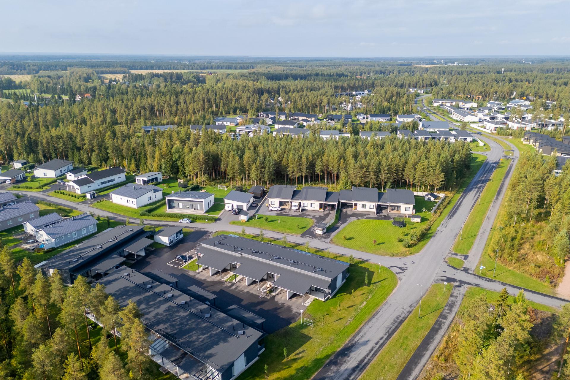 Käpälälauta 1, Metsärinne, Kempele