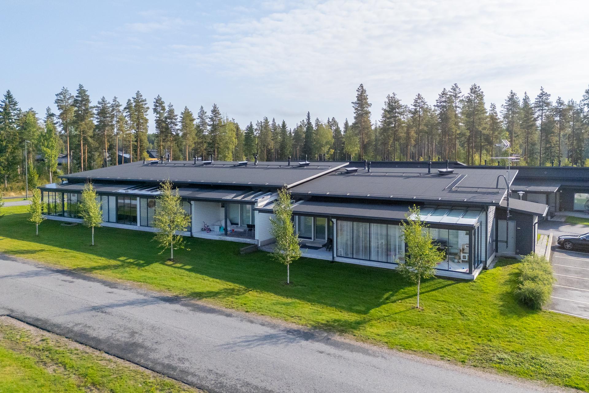 Käpälälauta 1, Metsärinne, Kempele