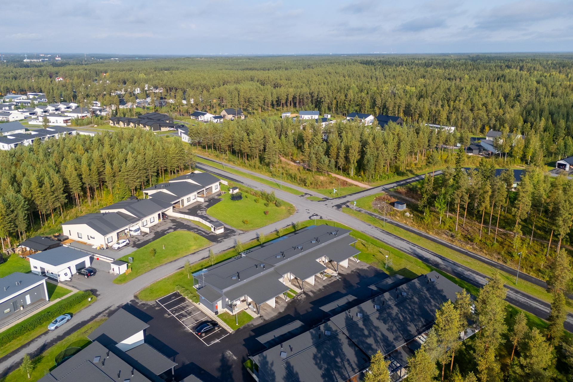 Käpälälauta 1, Metsärinne, Kempele