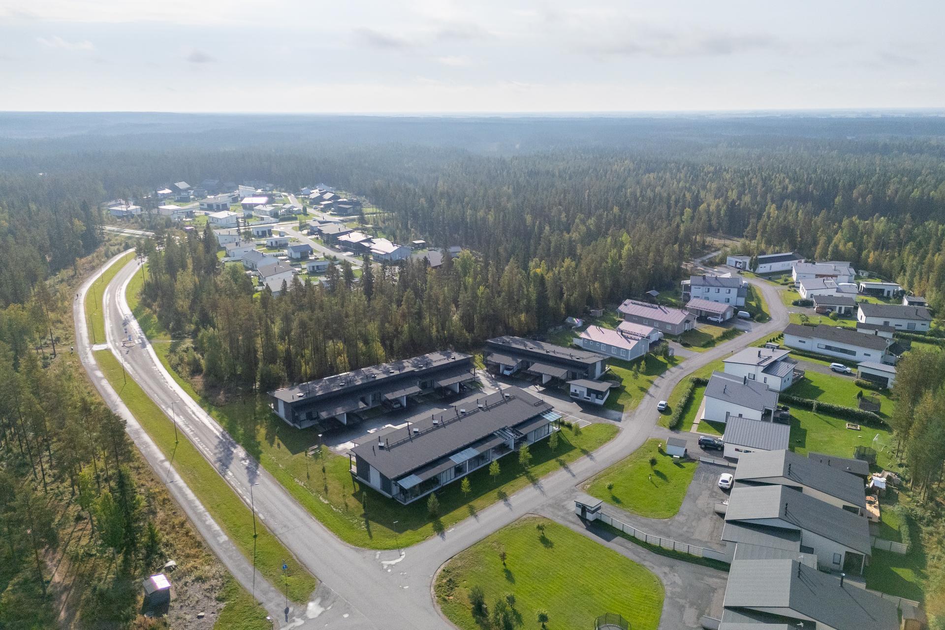 Käpälälauta 1, Metsärinne, Kempele