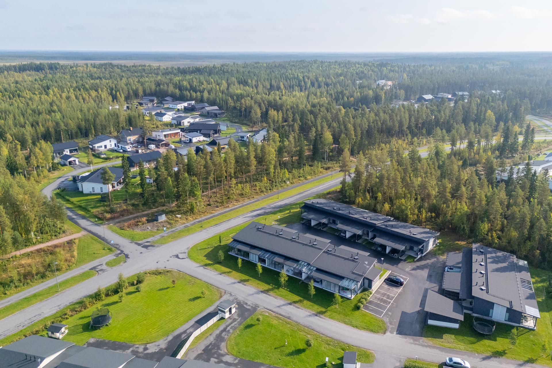 Käpälälauta 1, Metsärinne, Kempele