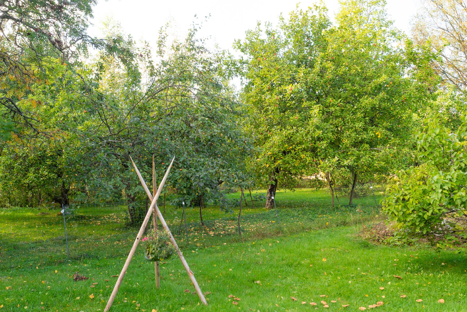 Konnevedentie 850, Hankasalmi