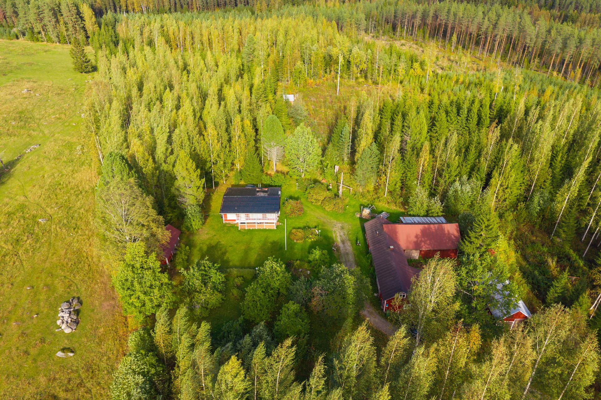 Konnevedentie 850, Hankasalmi