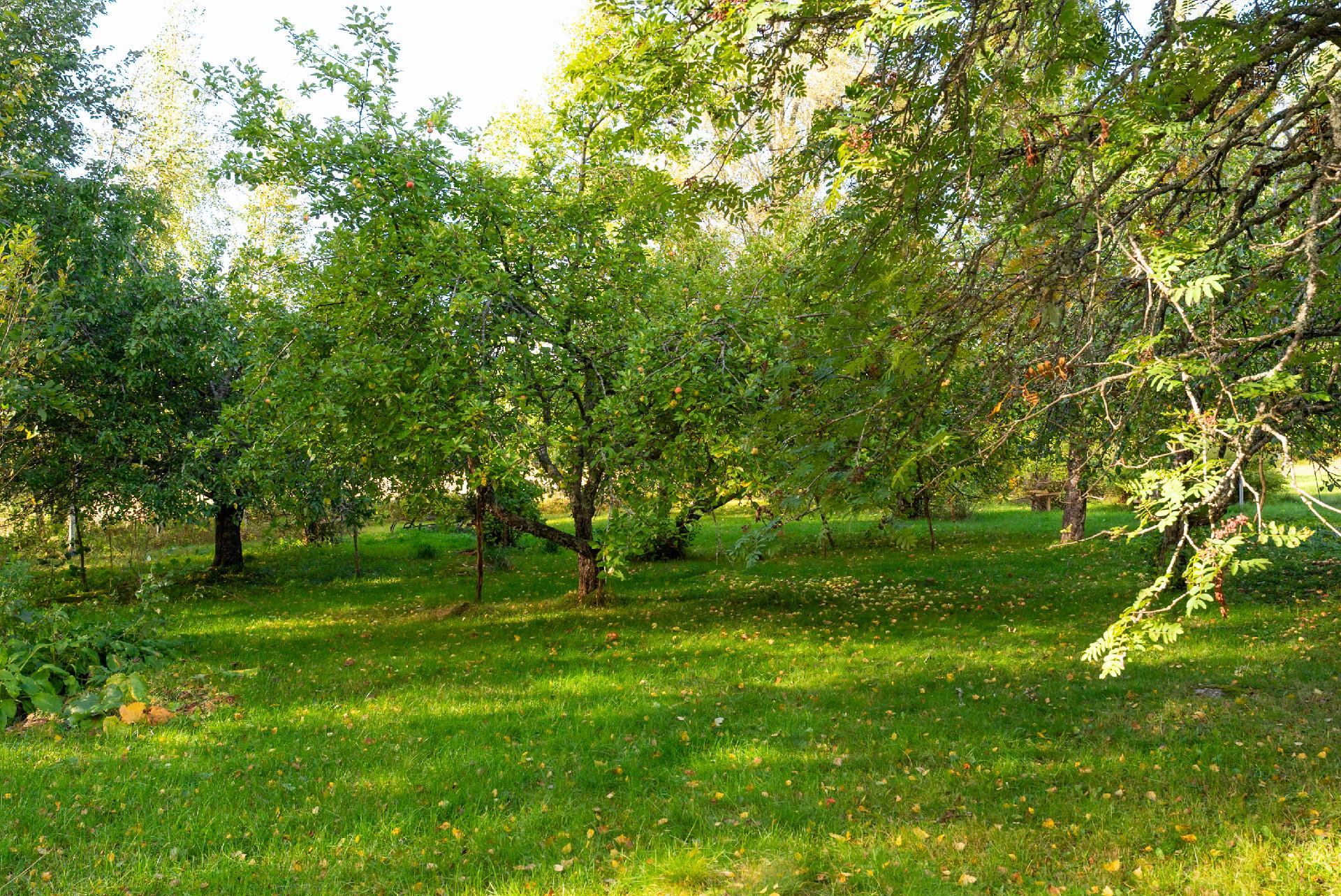 Konnevedentie 850, Hankasalmi