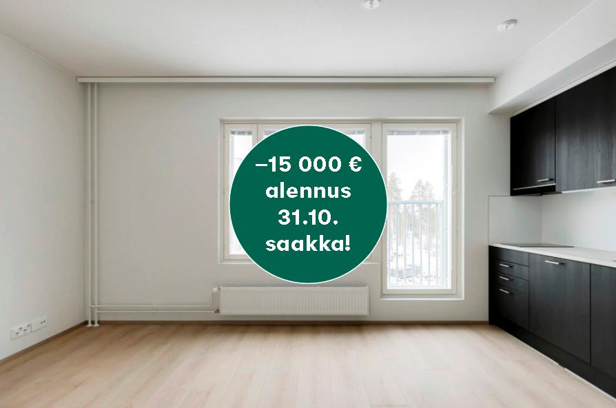 Kuva asunnosta C 56, asunnon C 62 keittiö on beige