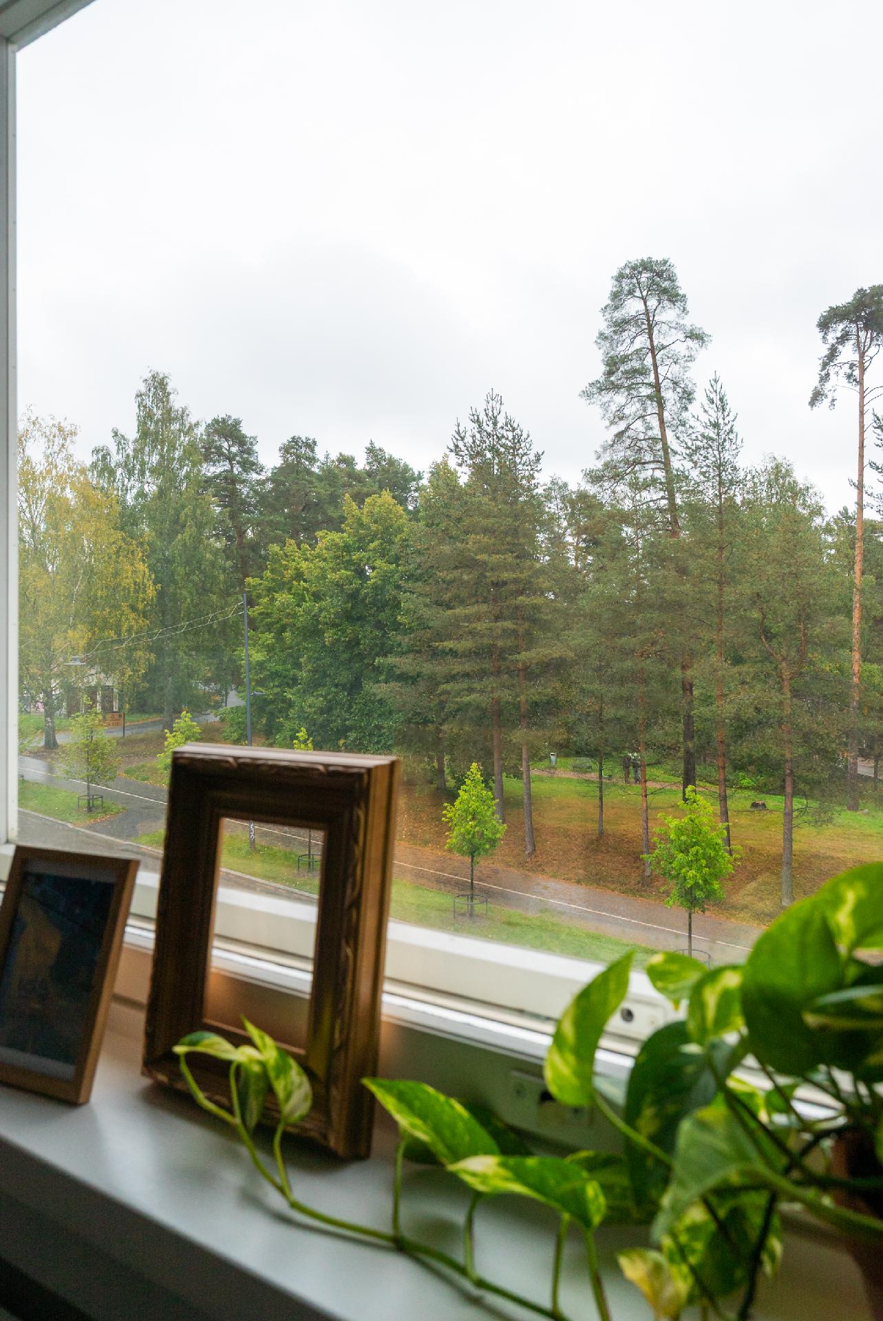 Näkymä puistokadulle