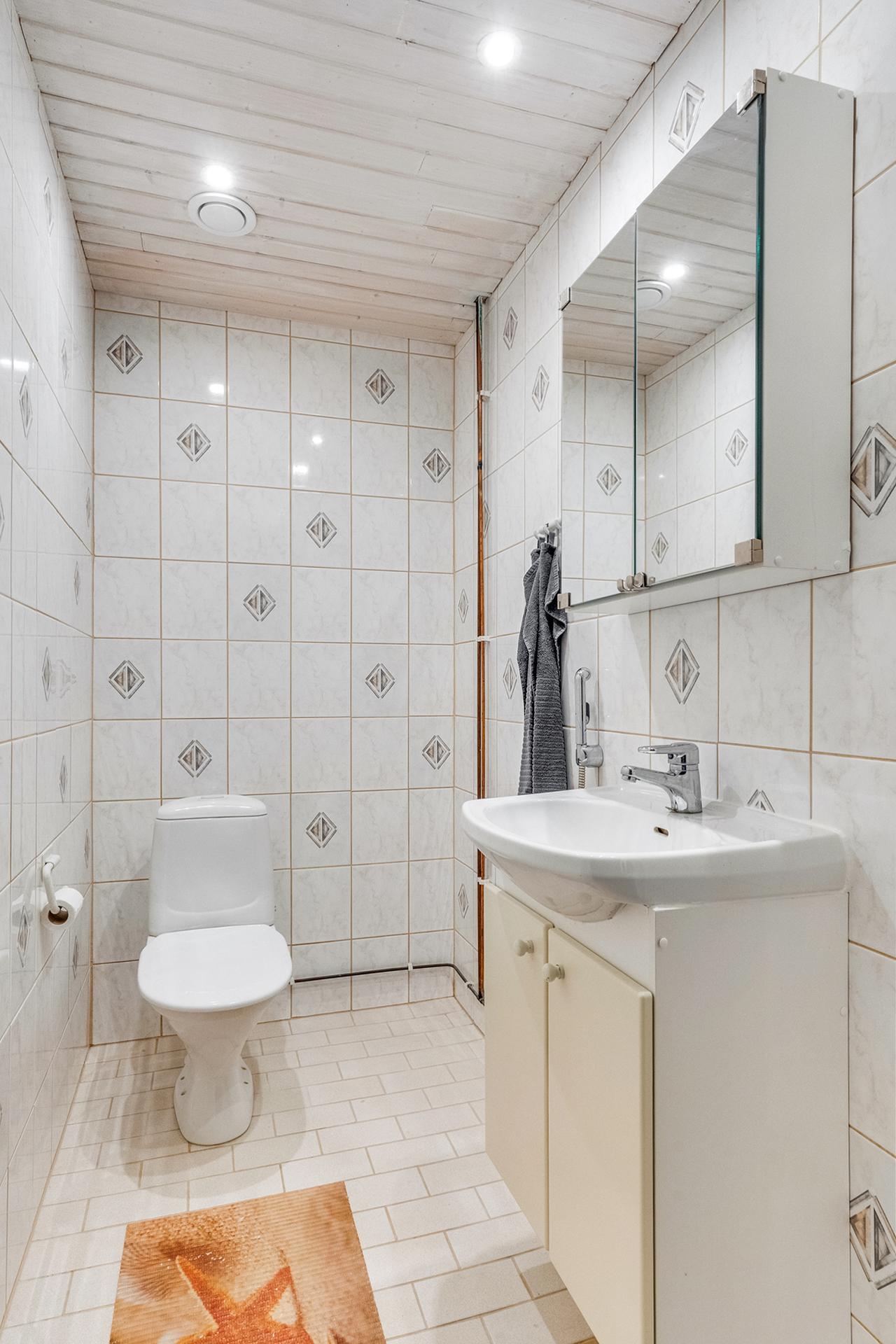 Pohjakerroksen erillinen wc