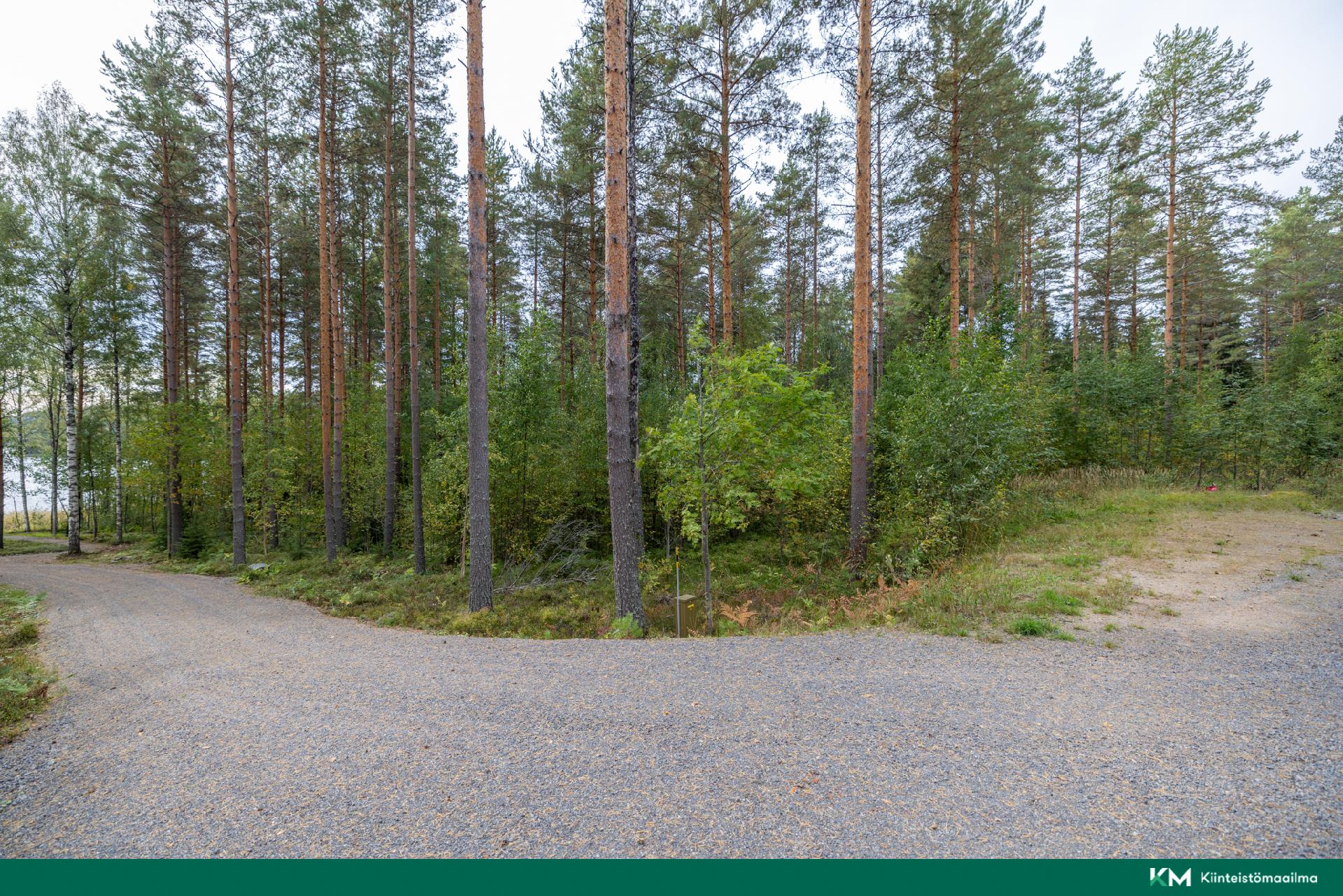 Pappilansalmentie -, Anttola, Mikkeli