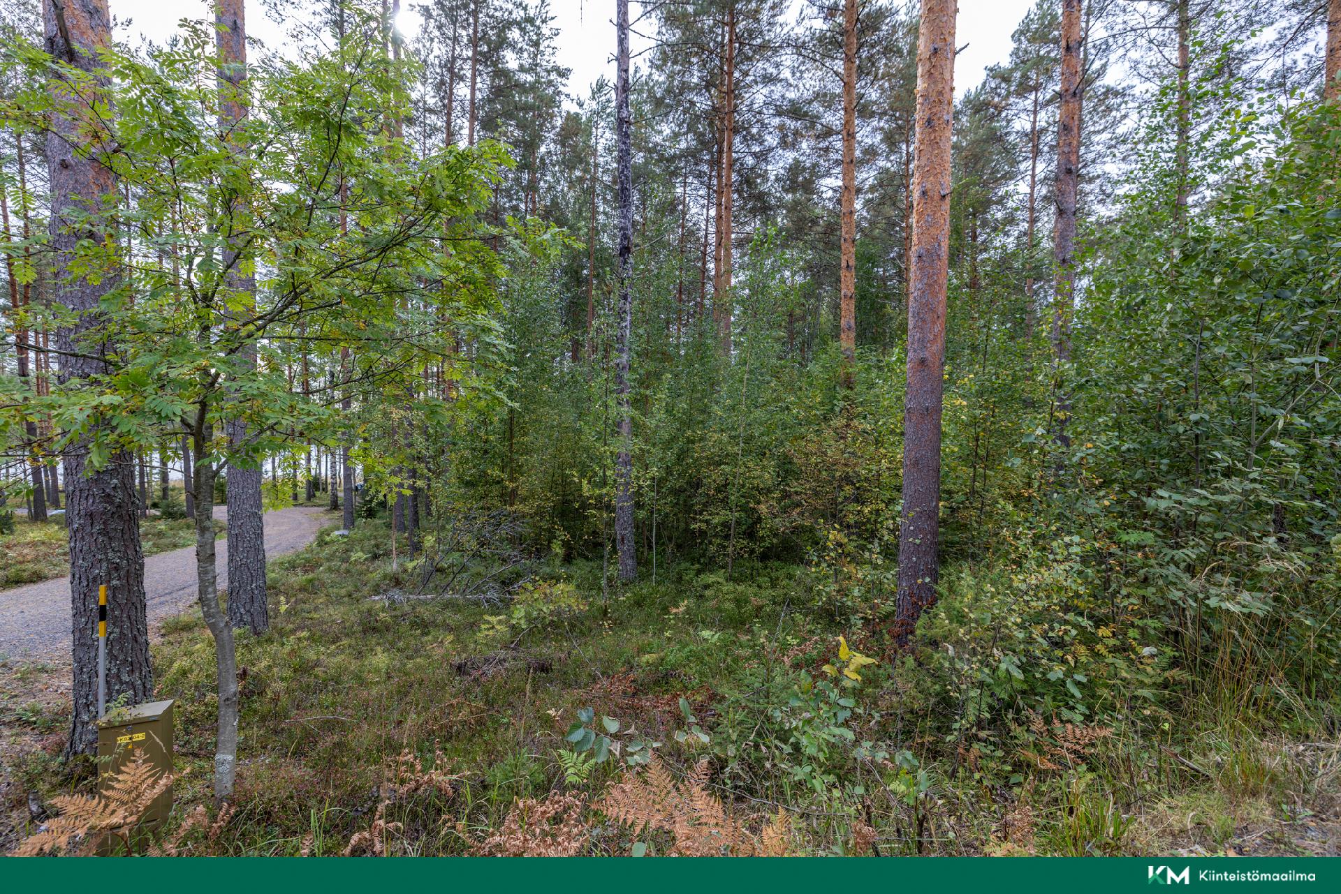 Pappilansalmentie -, Anttola, Mikkeli