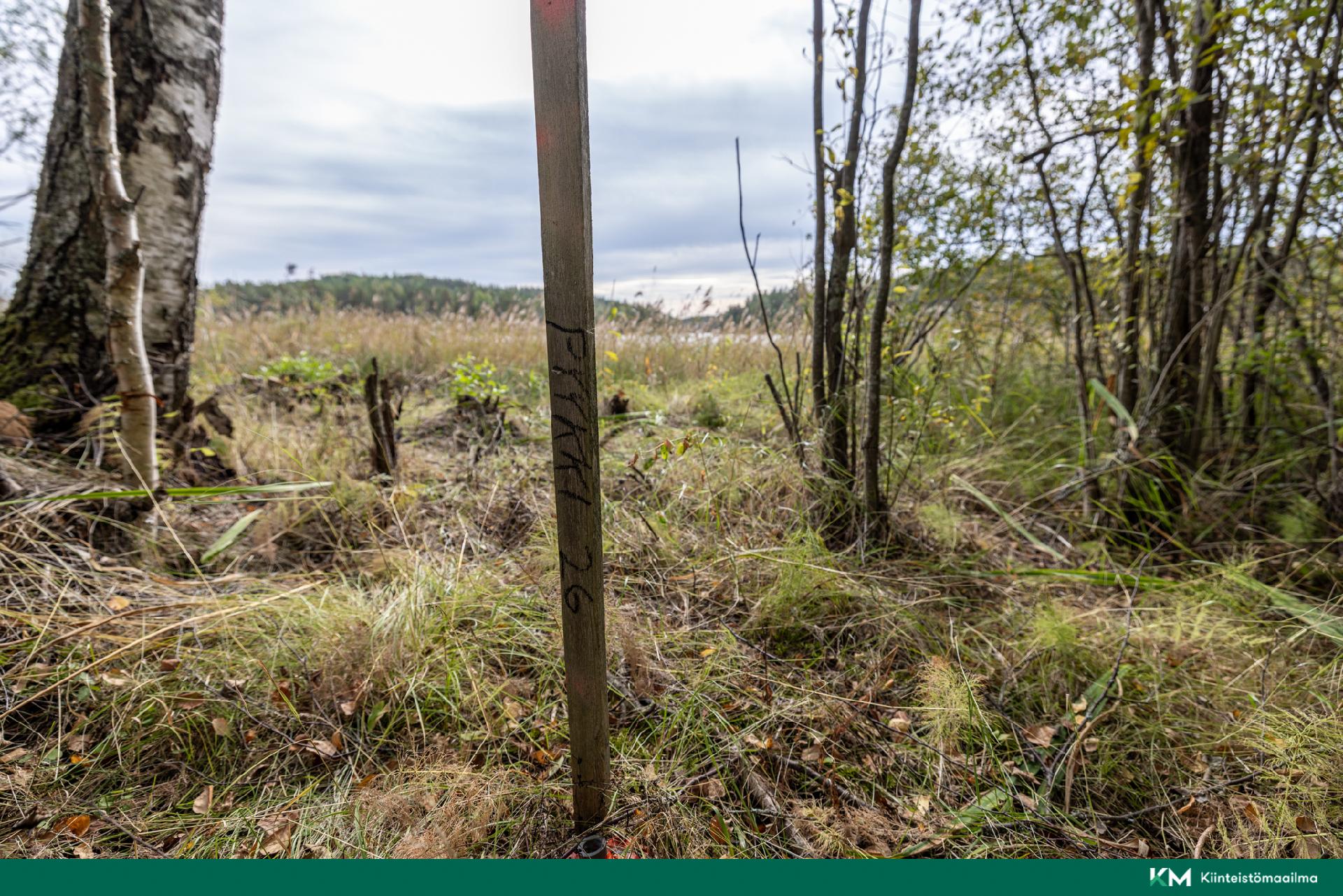 Pappilansalmentie -, Anttola, Mikkeli