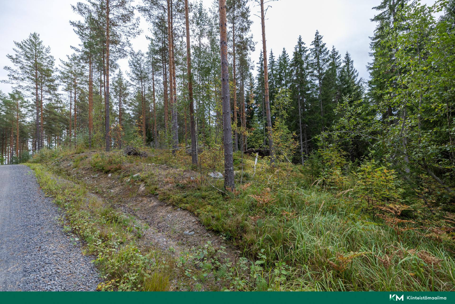 Pappilansalmentie -, Anttola, Mikkeli