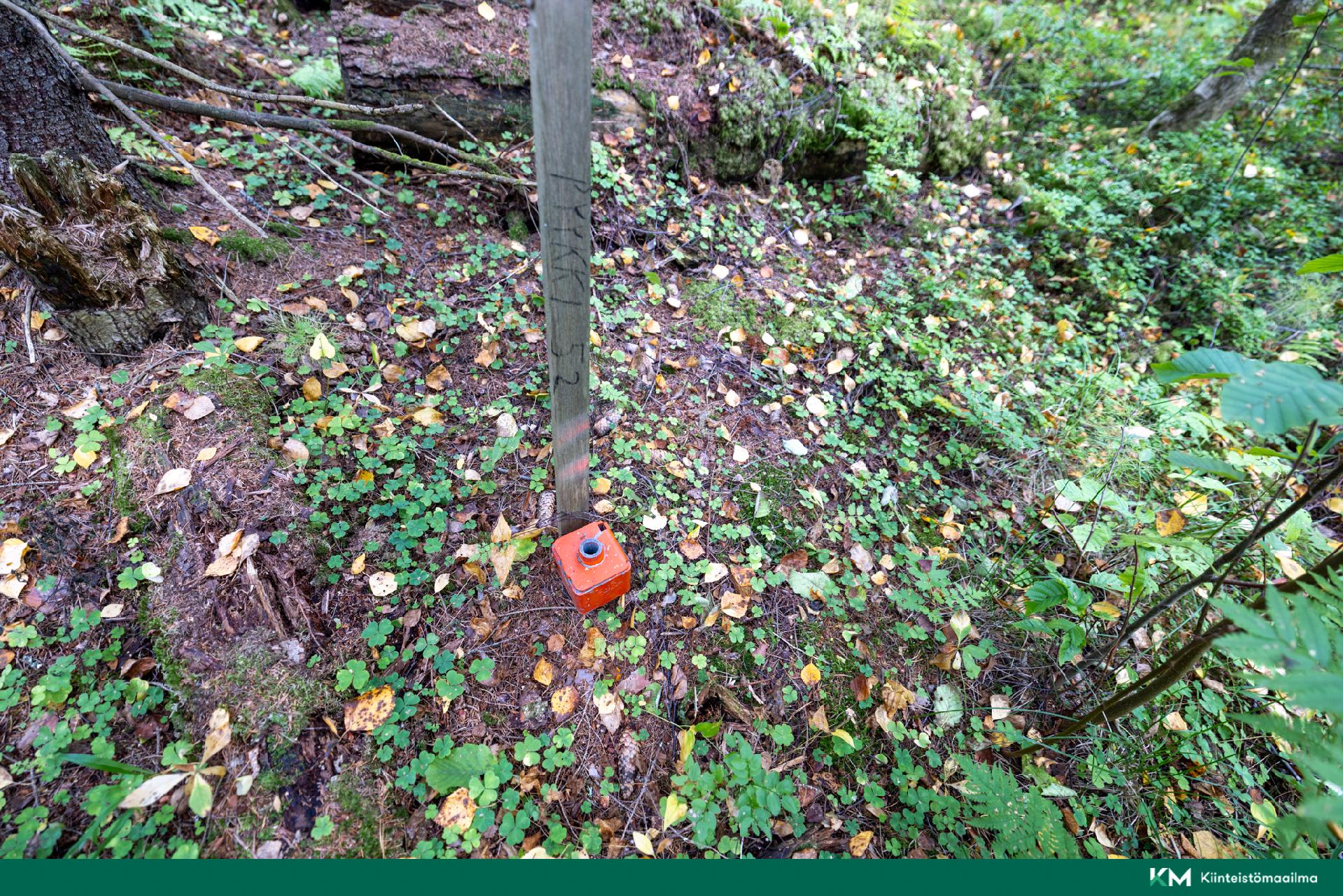 Pappilansalmentie -, Anttola, Mikkeli