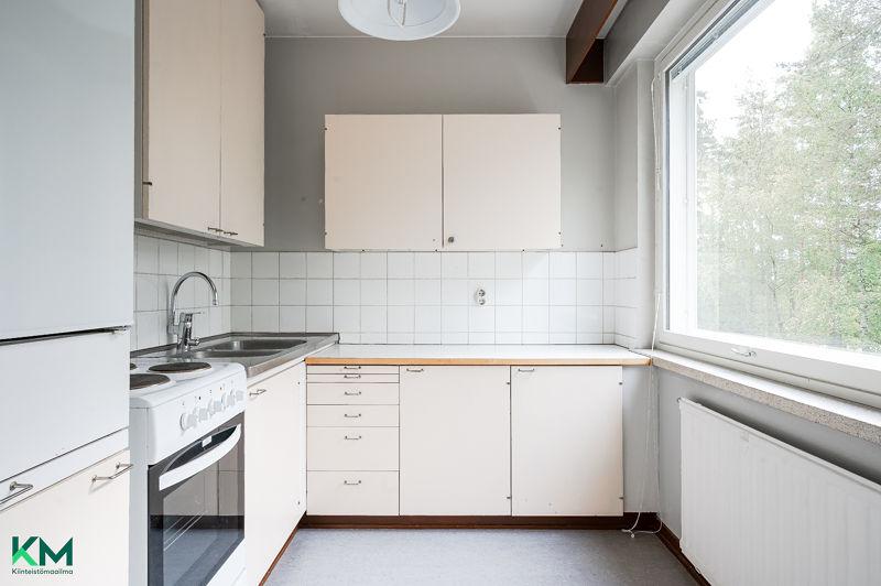 Salpakankaantie 13, Kartano, Hollola