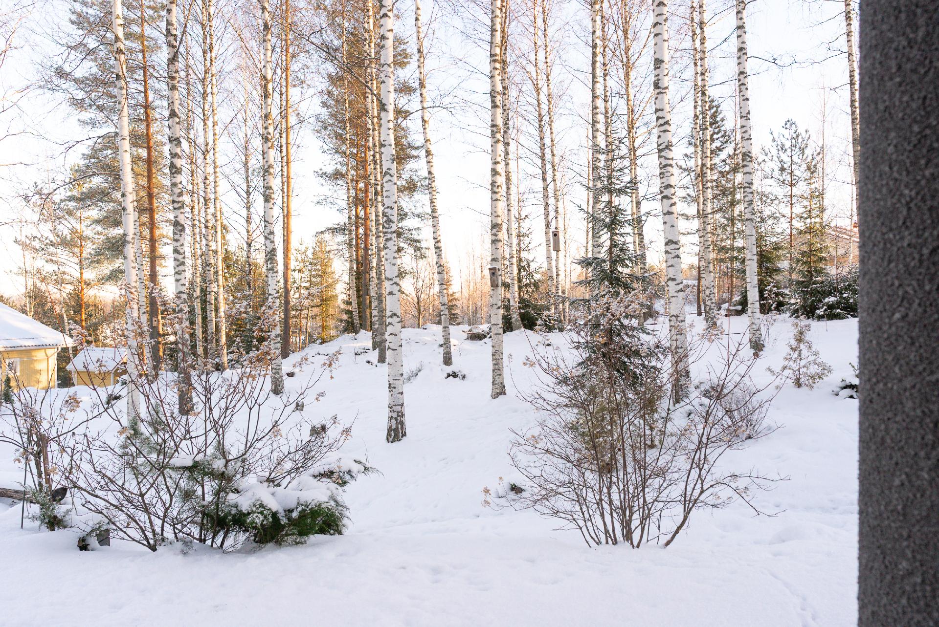 Keulatie 3, Korpilahti, Jyväskylä