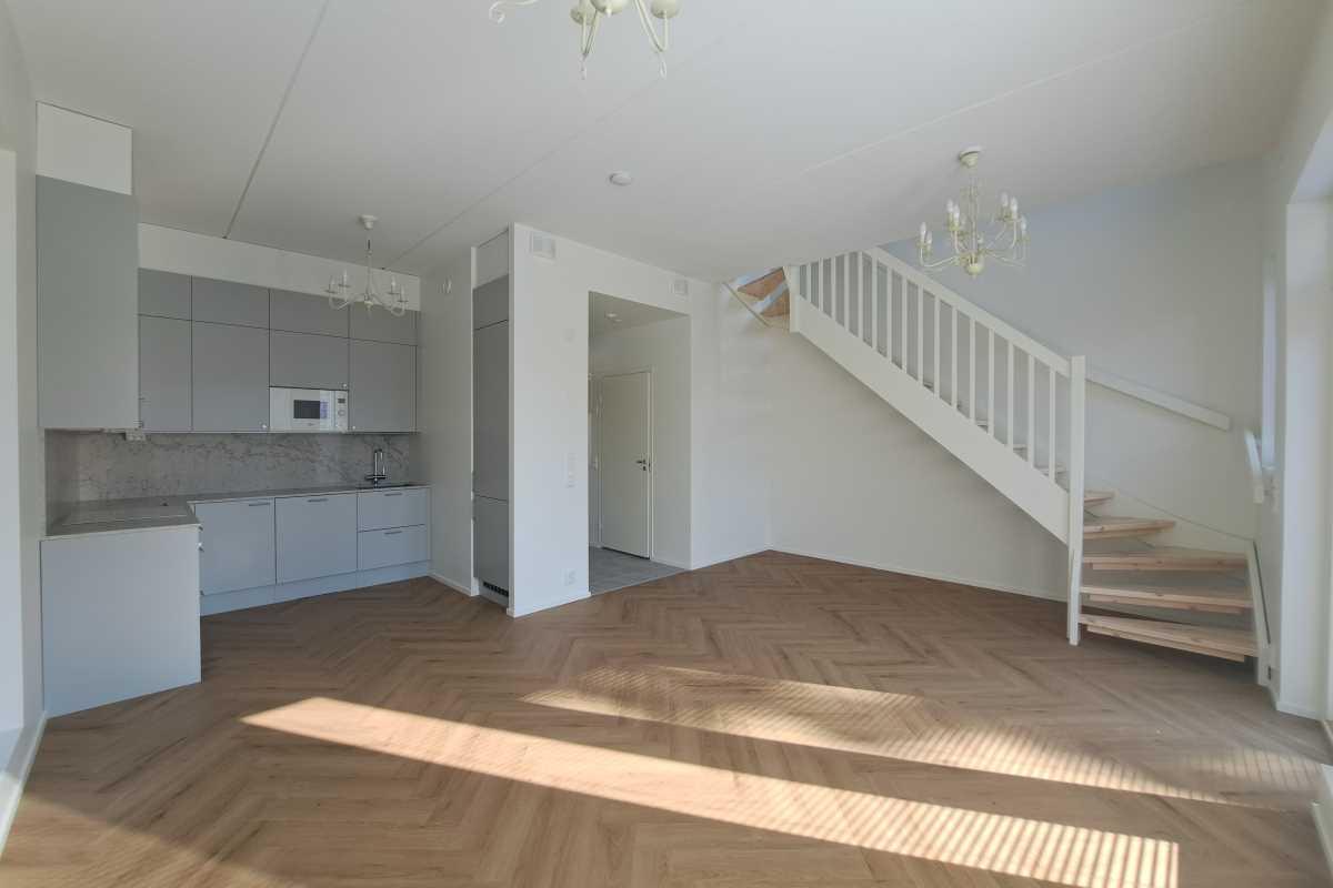 Ruonasalmentie 17, Tammisalo, Helsinki