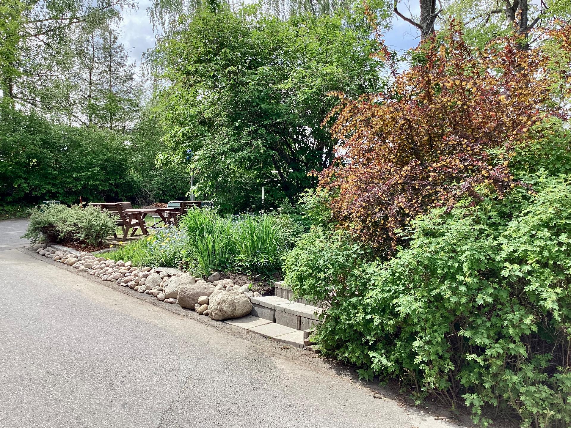 Pihalla on kauniita istutuksia - Det finns mycket planteringar på gården