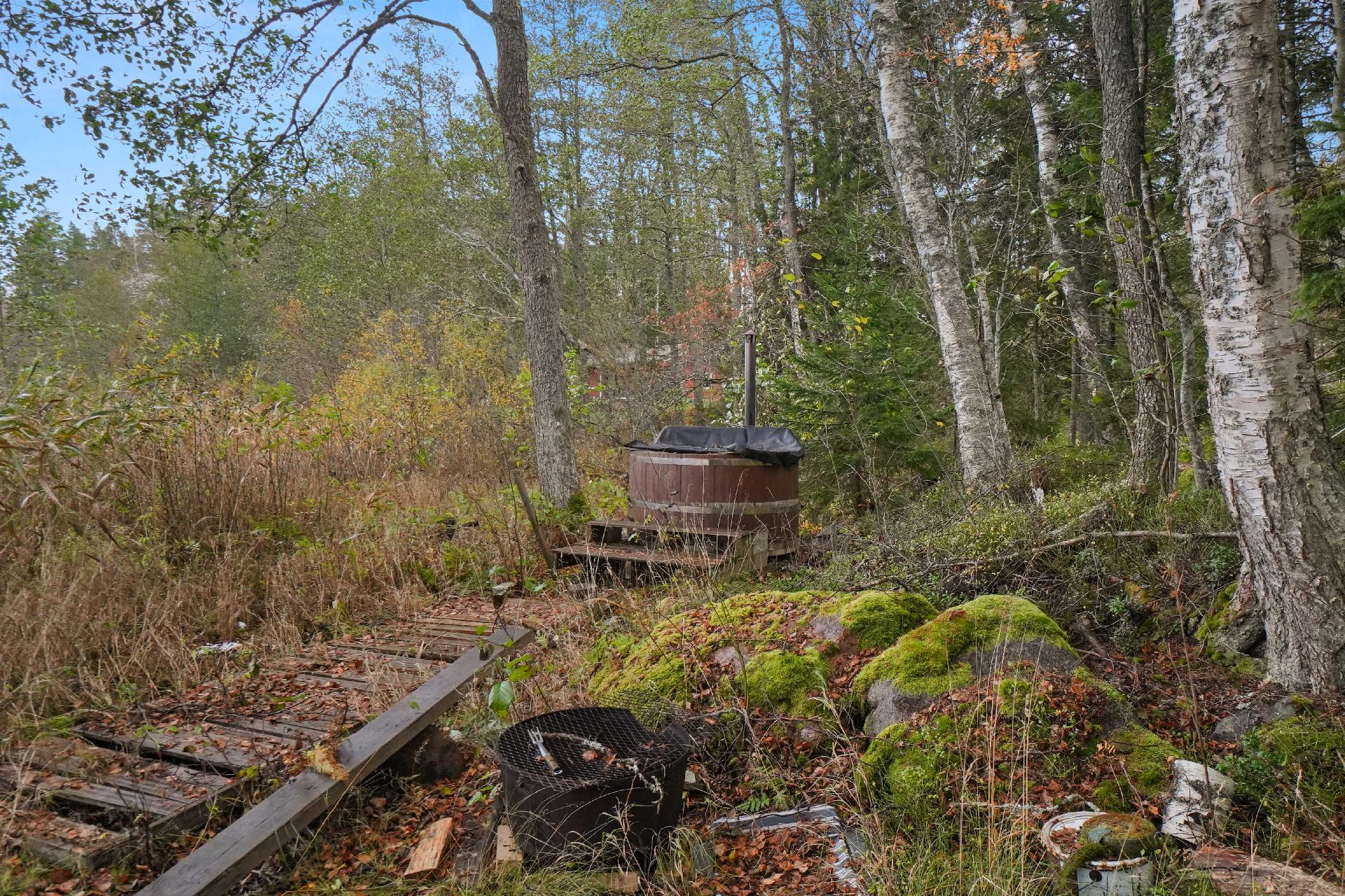 Rannassa on palju sekä savusaunan runkohirret