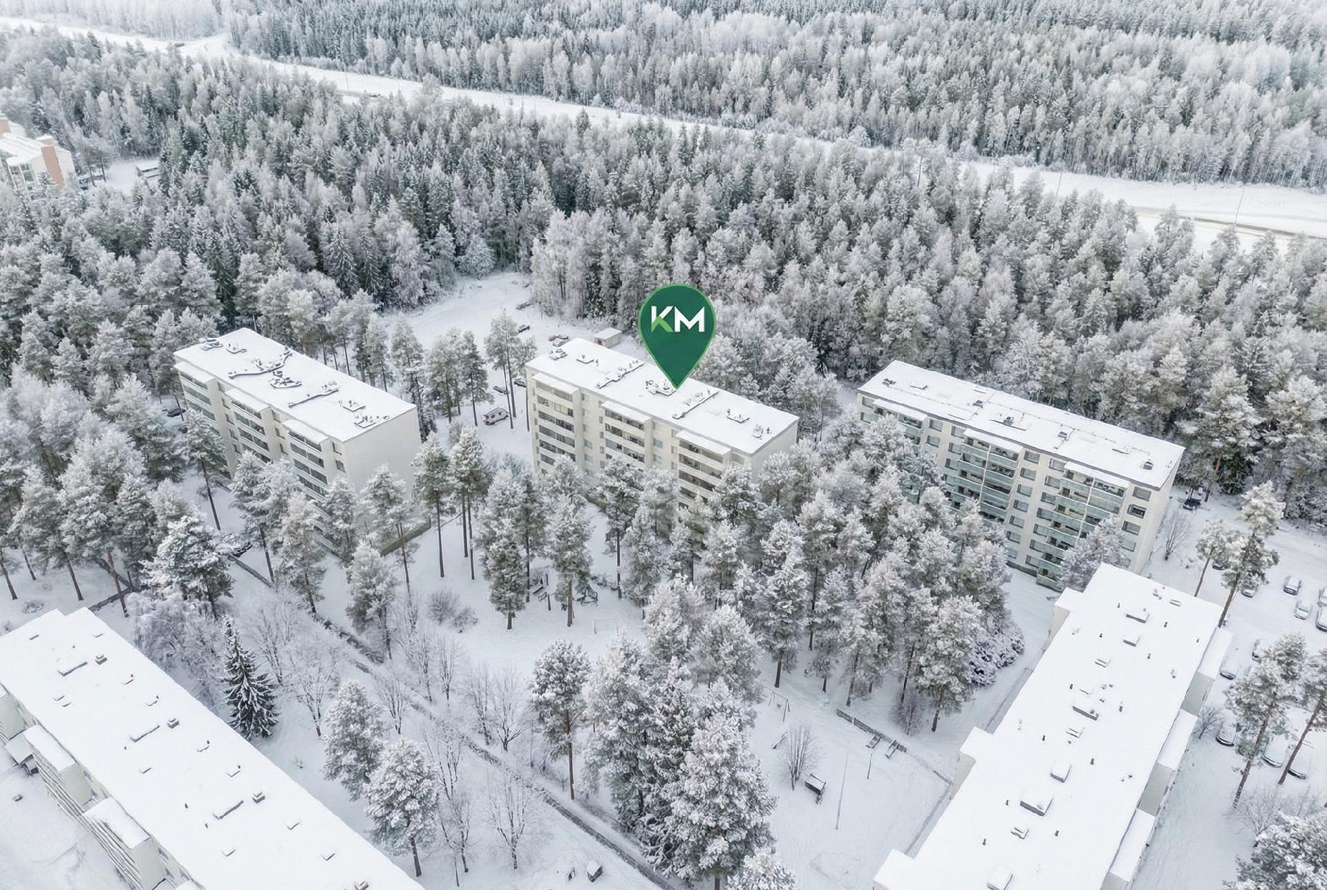 Nuolihaukantie 6, Kaukovainio, Oulu