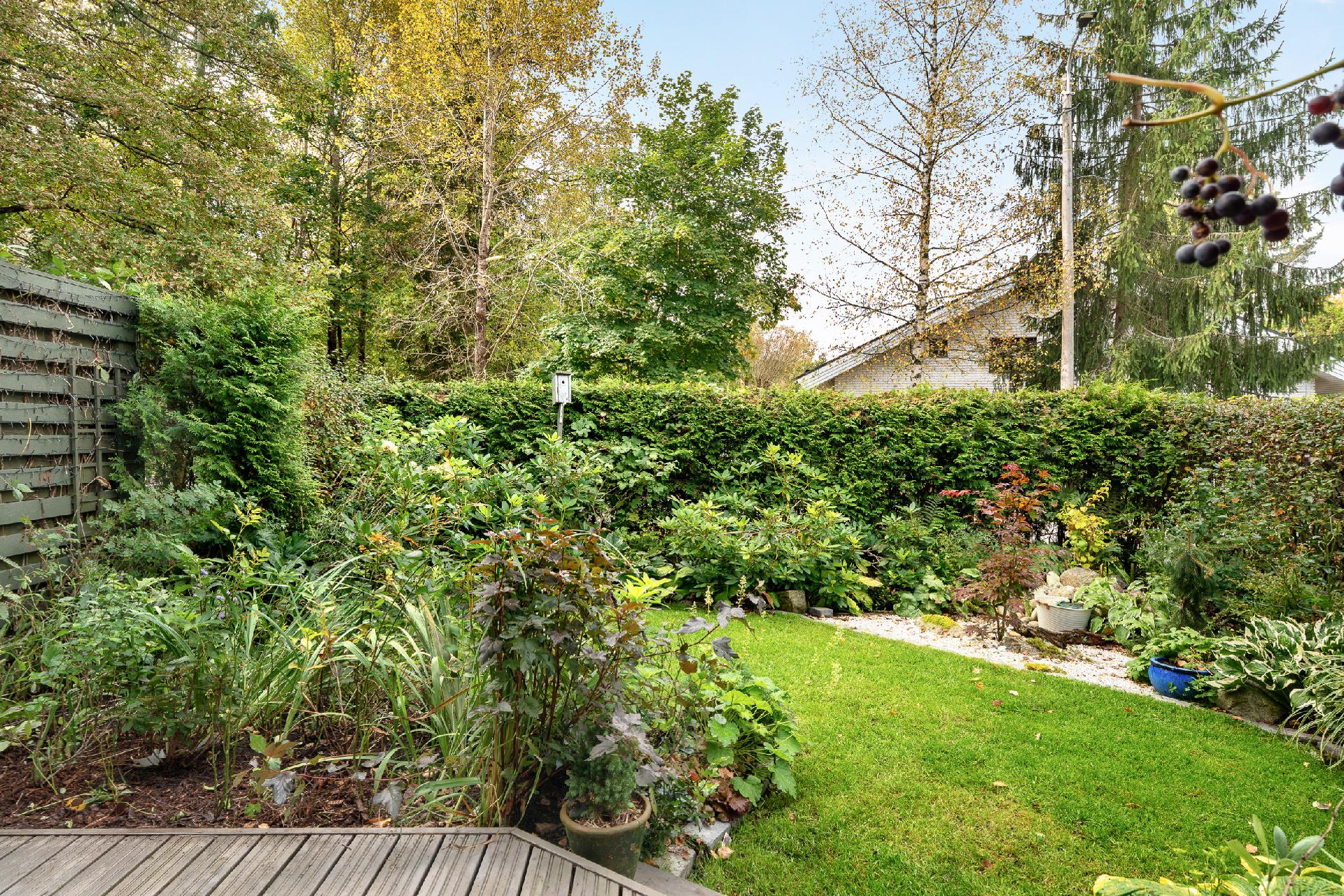 Riistatie 23, Lippajärvi, Espoo