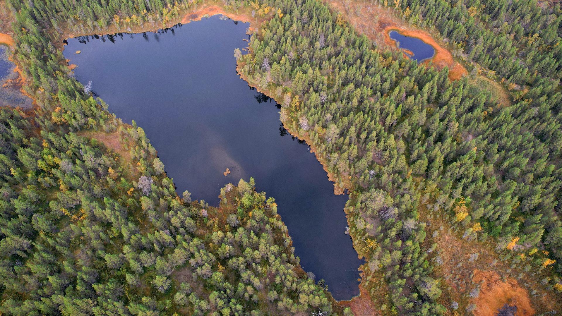 Tilan keskellä pieni lampi.