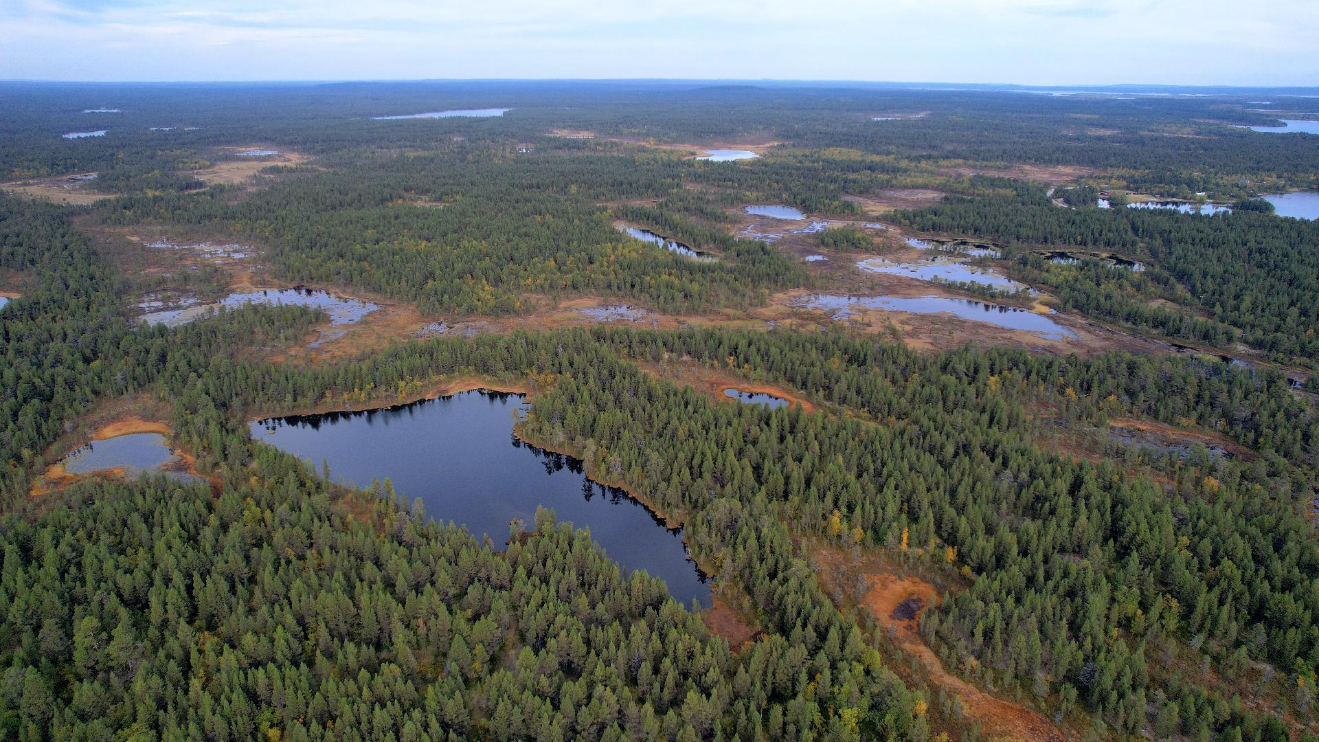 Ympäristössä kuivaa hiekkakangasmetsää, jänkää ja suota.