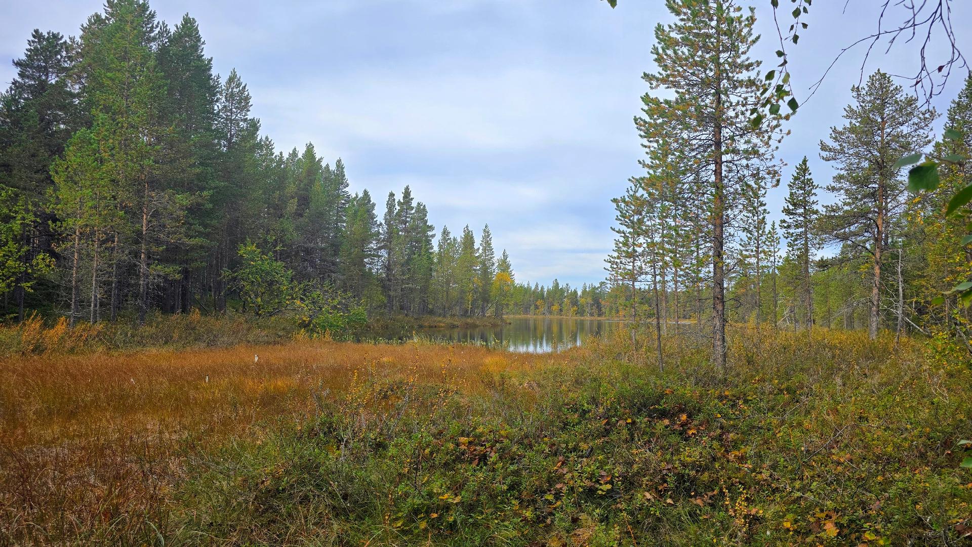 Lammen eteläkärjestä.