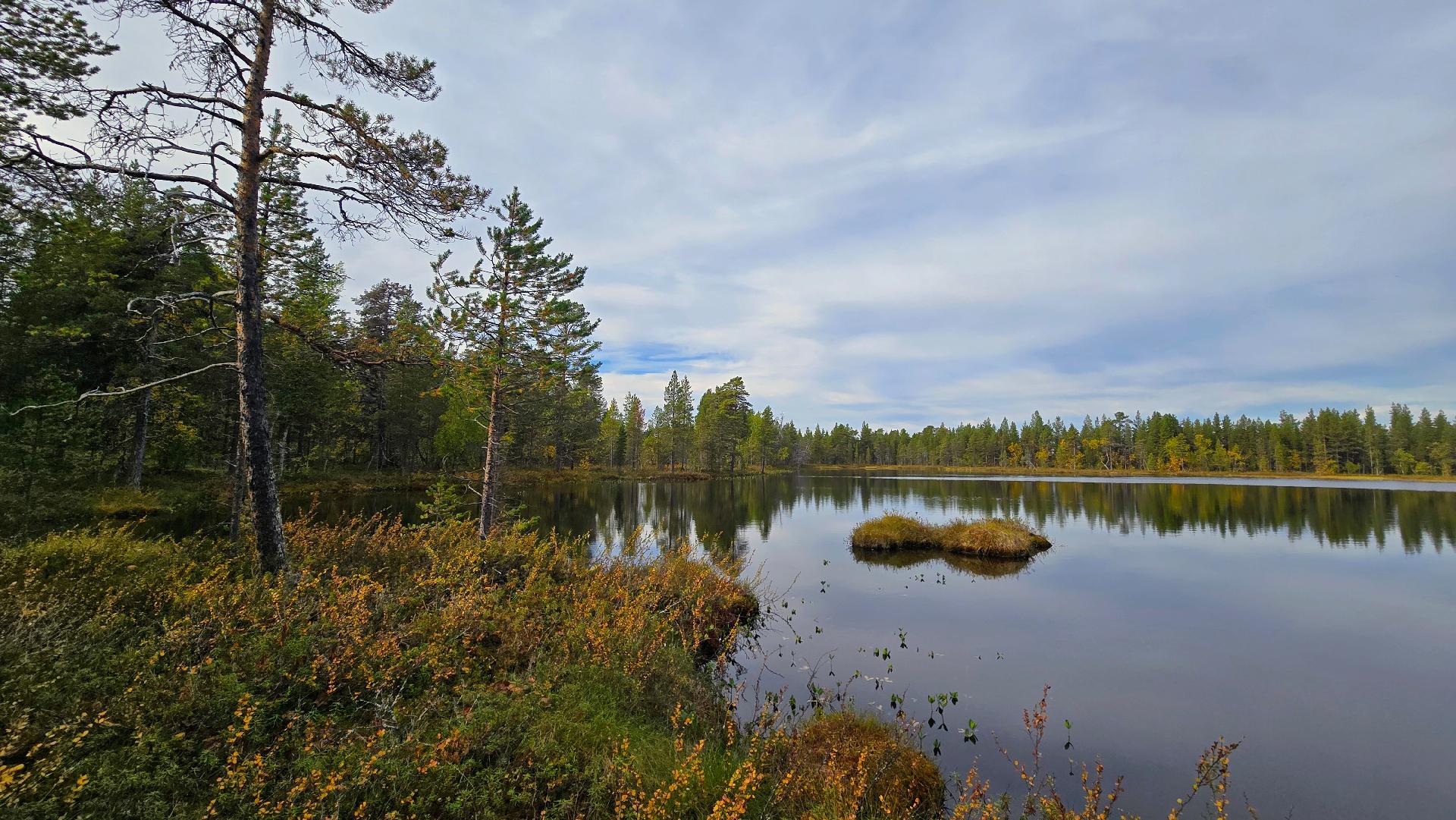 Lammen länsilaidan rantaa pohjoisen suuntaan.