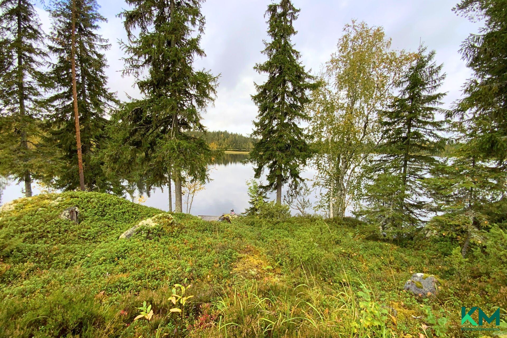 Myllymetsä 184, Orivesi