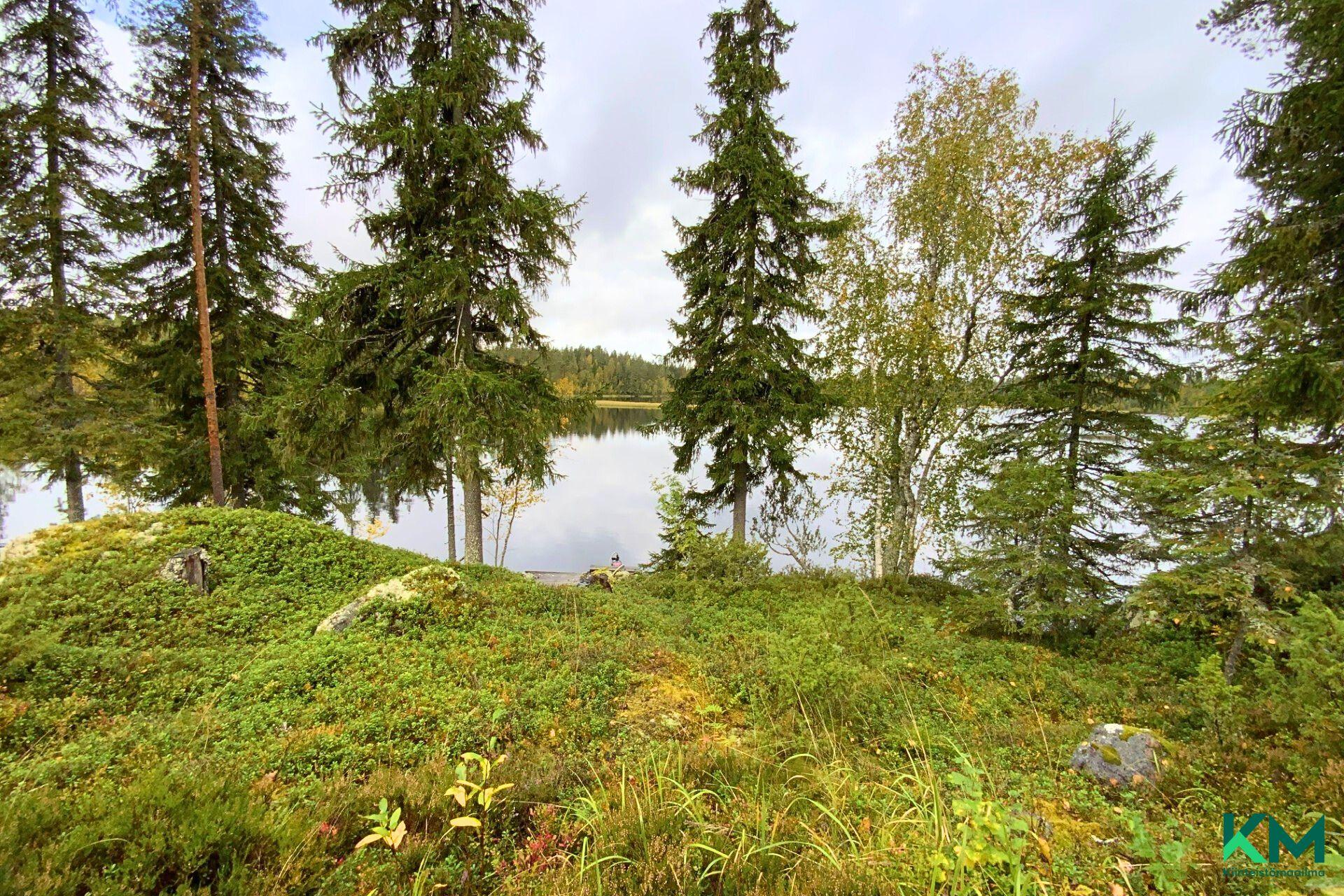 Myllymetsä 184, Orivesi