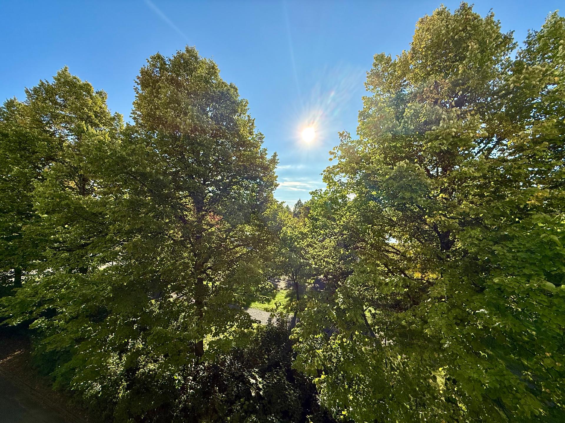 Rauhankatu 1, Keskusta, Hämeenlinna