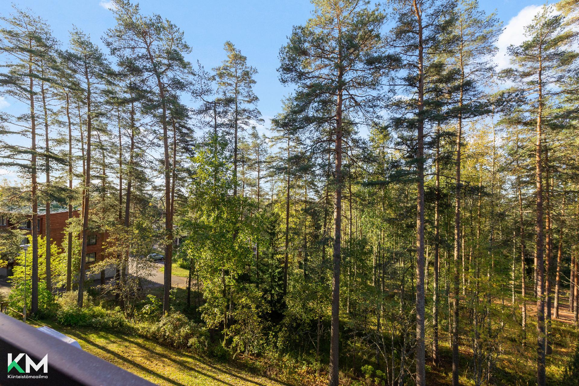 Salpakankaantie 1, Salpakangas, Hollola