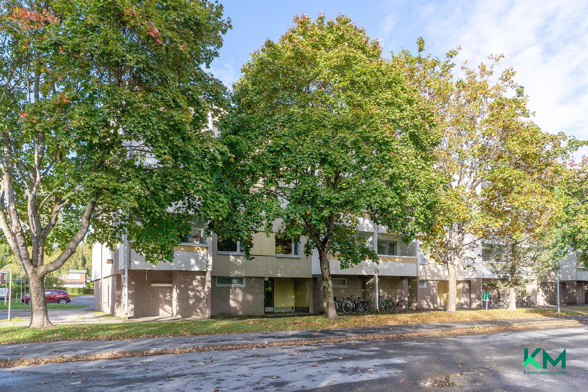 Liutuntie 13, Liuttu, Kangasala