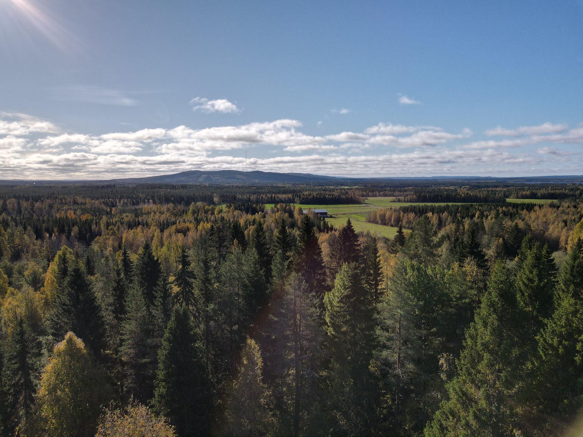 Vaarantie 24, Naapurinvaara, Sotkamo