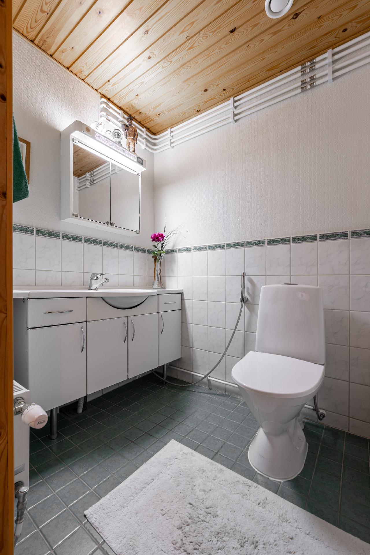 Alakerran erillinen wc