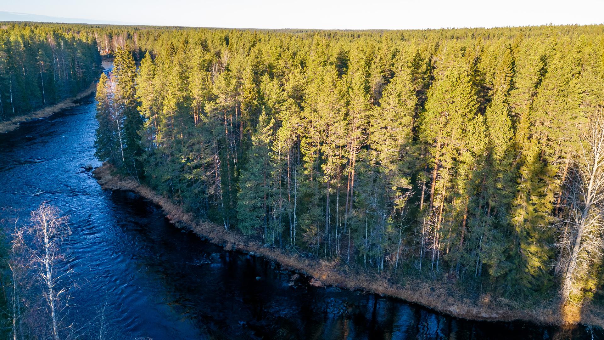 Kommintie 41:225, Ylikiiminki, Oulu