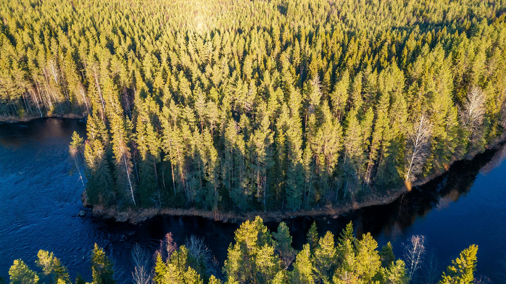 Kommintie 41:225, Ylikiiminki, Oulu