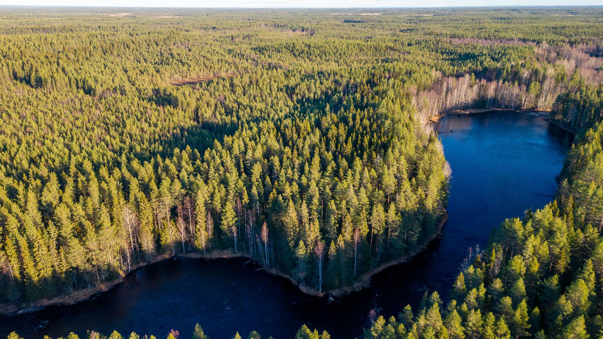 Kommintie 41:225, Ylikiiminki, Oulu