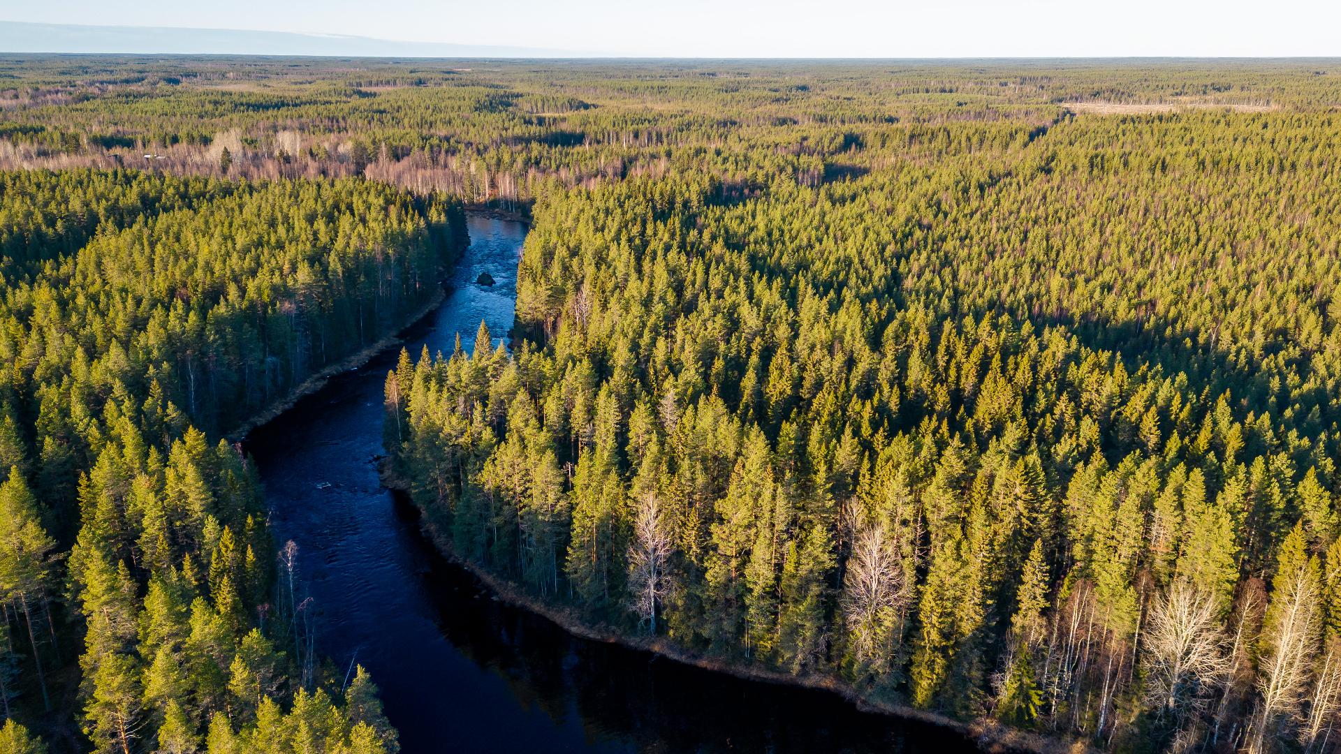 Kommintie 41:225, Ylikiiminki, Oulu