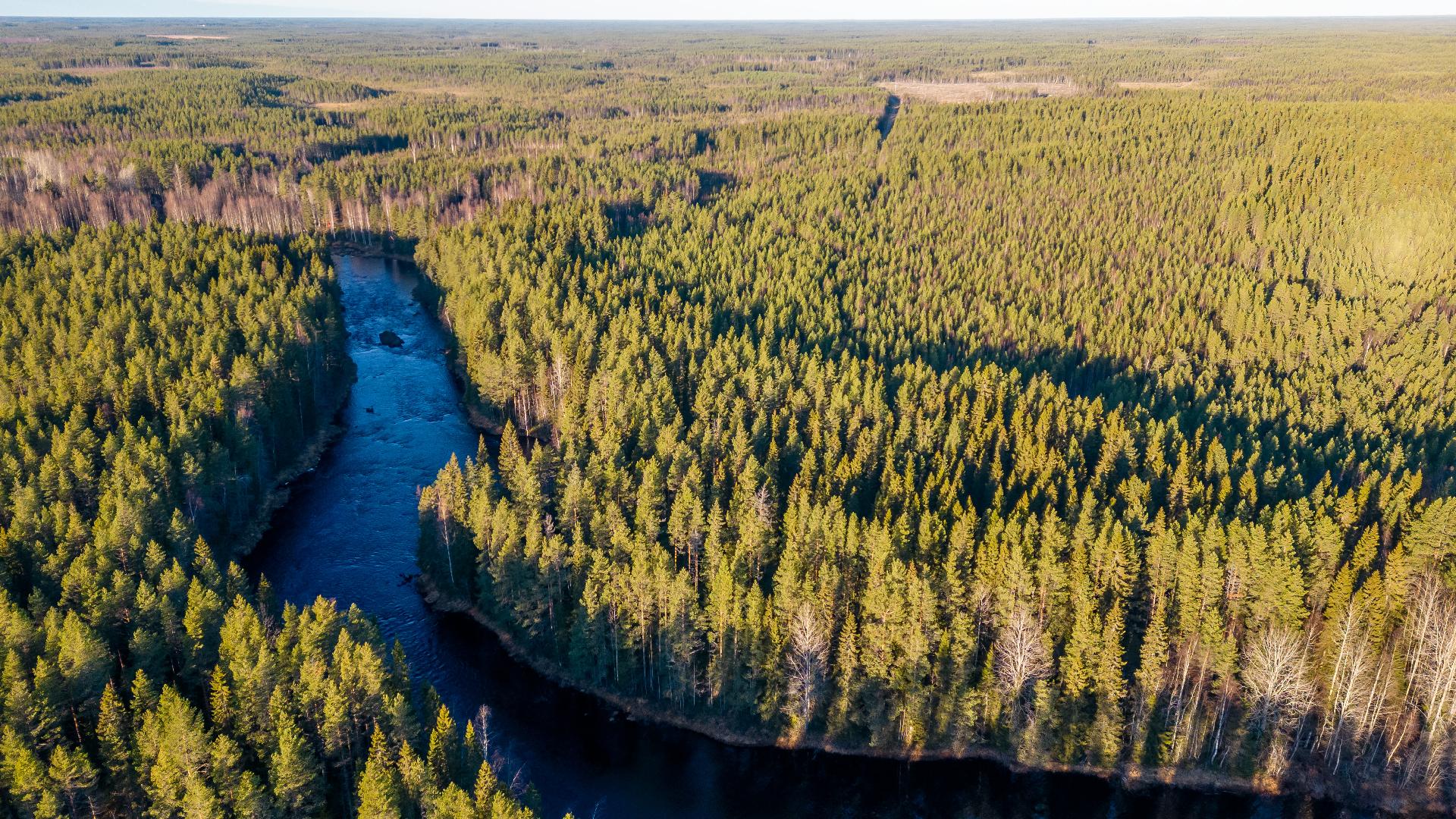 Kommintie 41:225, Ylikiiminki, Oulu