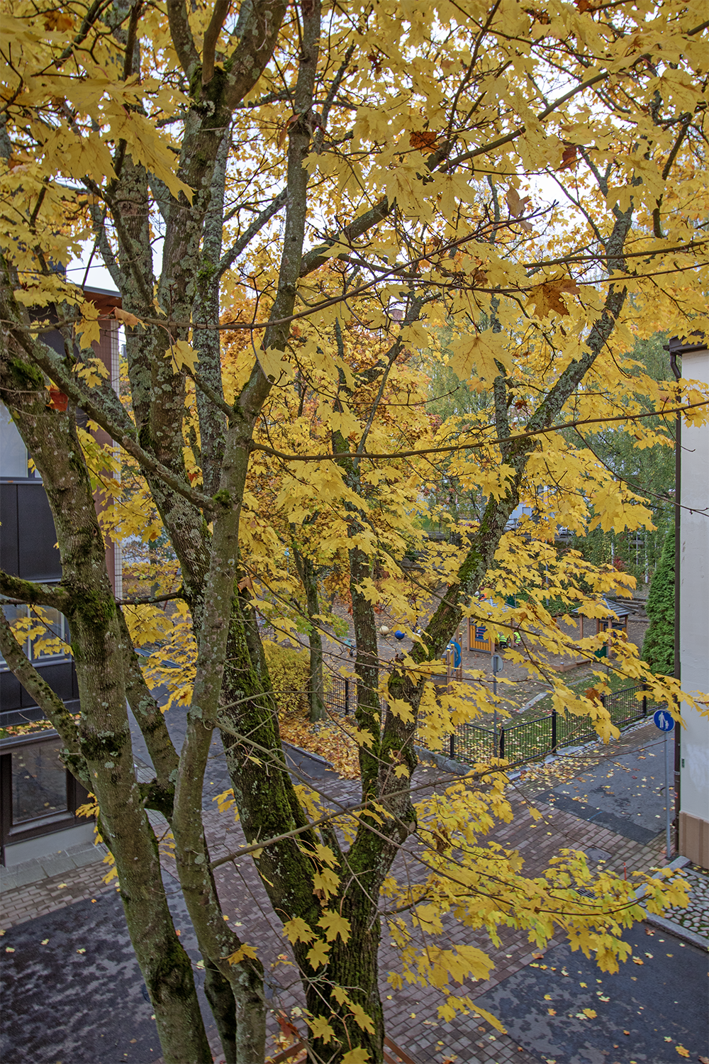 Hapelähteenkatu 41, Keskusta, Kuopio