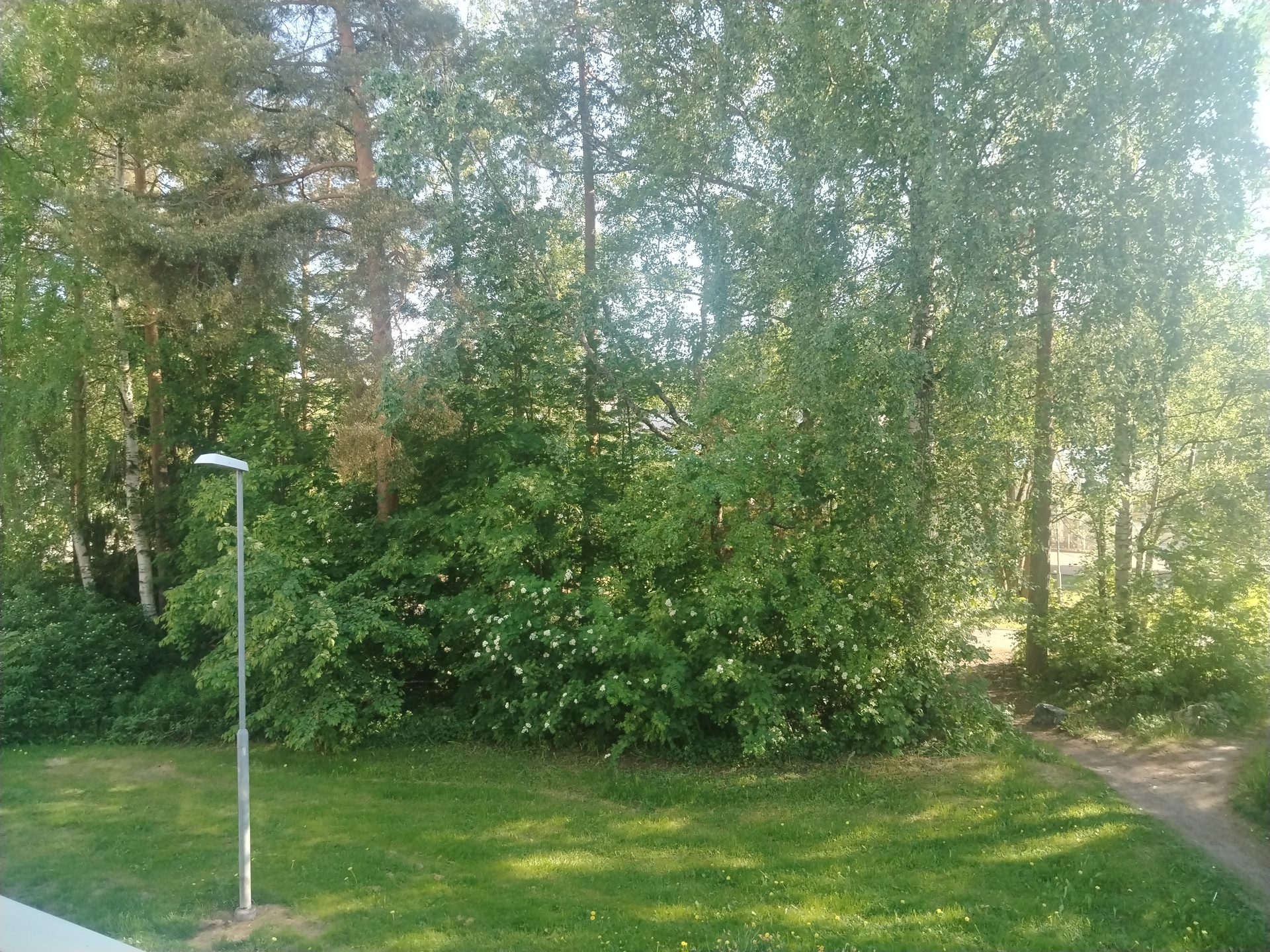 Kurkisuontie 8, Kurkimäki, Helsinki