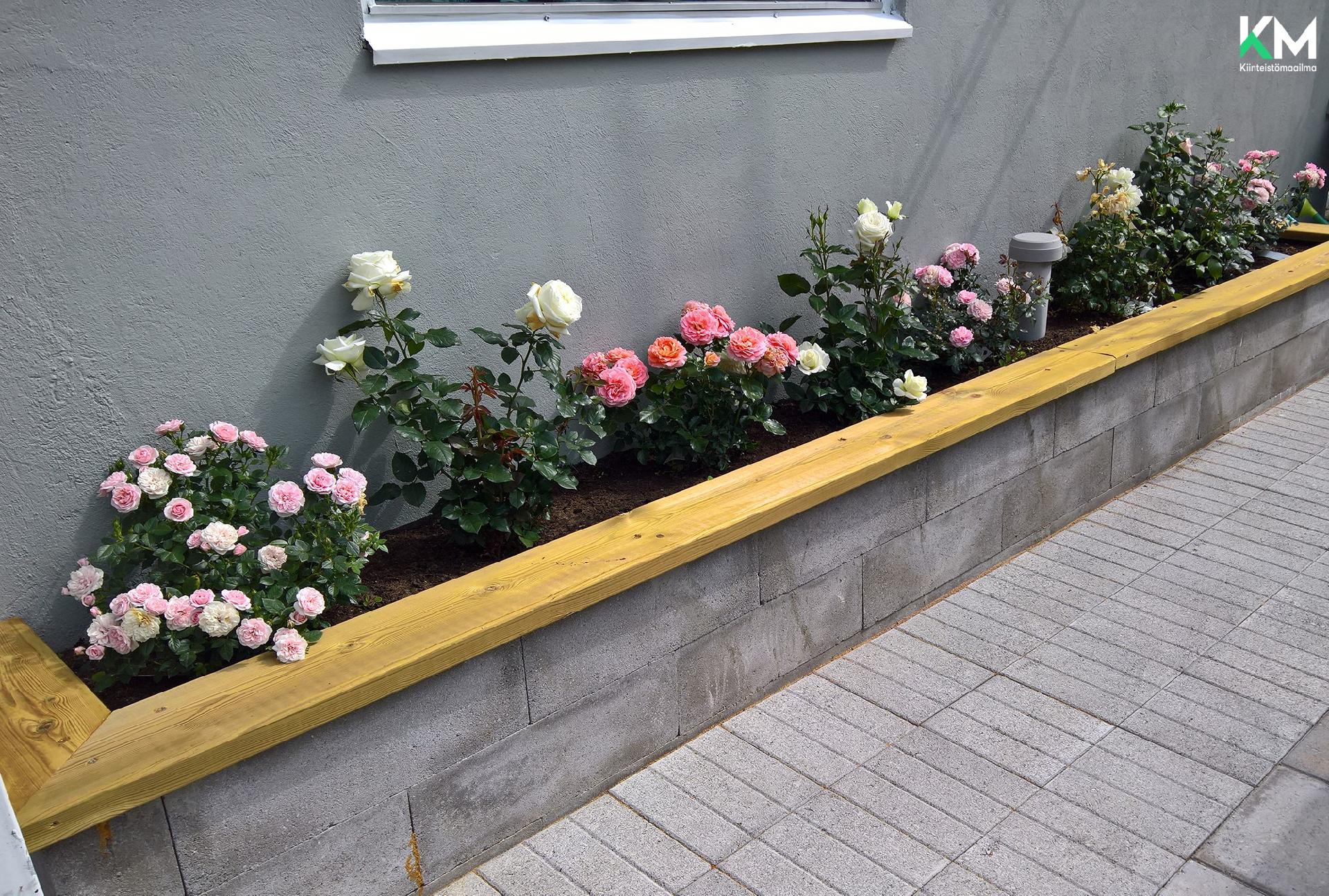 Untamontie 18, Untamala, Laitila