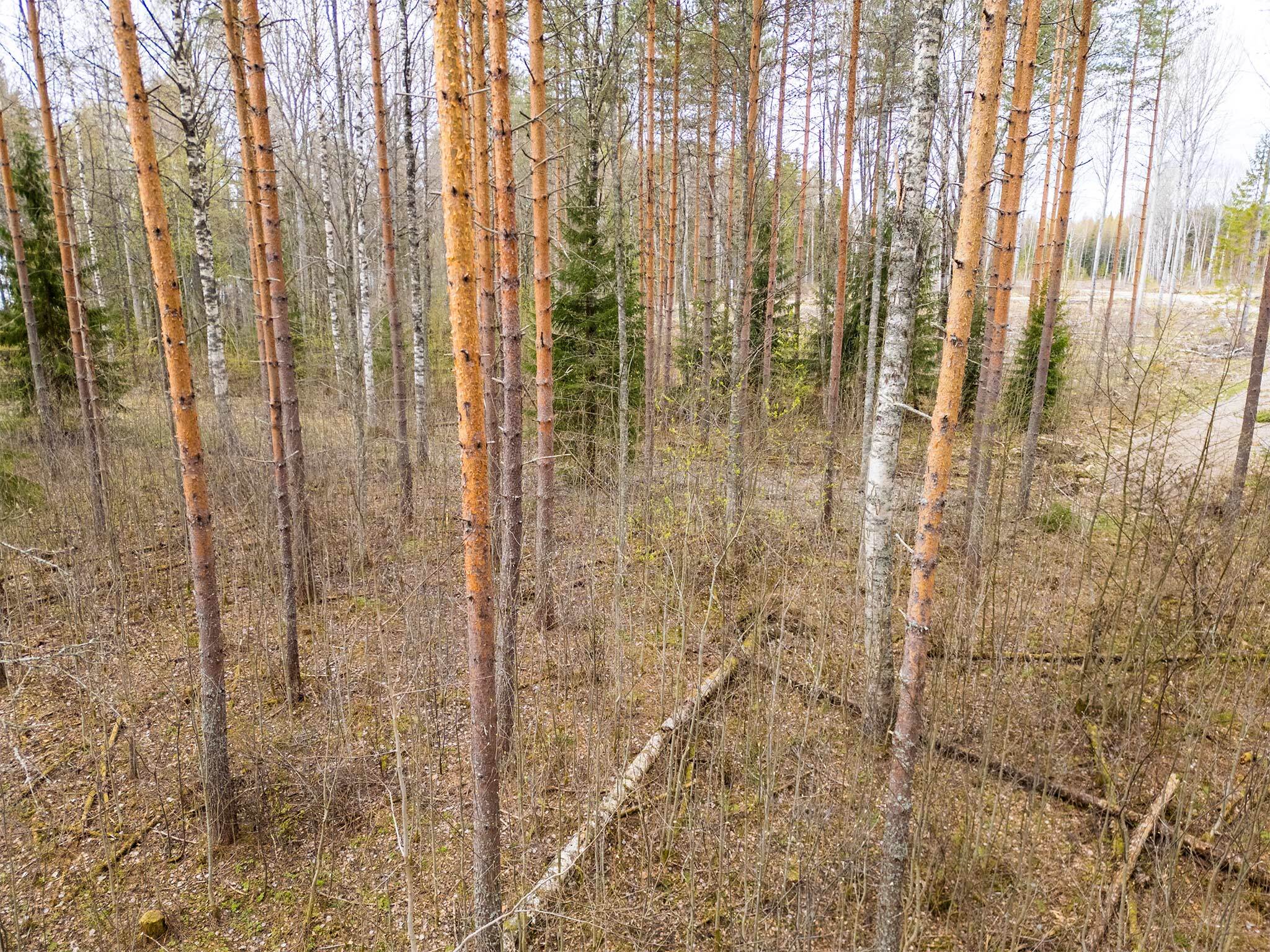 Niemenkyläntie 466 A, Kolho, Mänttä-Vilppula